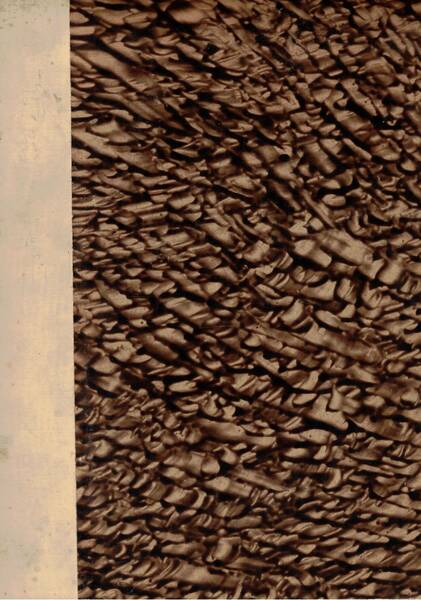 Esteri, quindicinale di politica estera. Disponiamo delo primo semestre della …