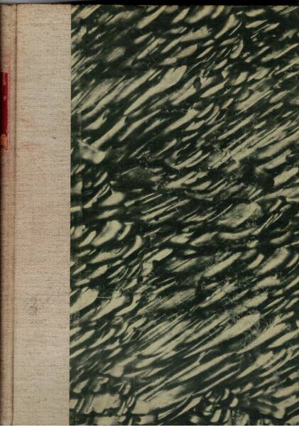 Pekin Information, le point de la vue et les nouvelles …