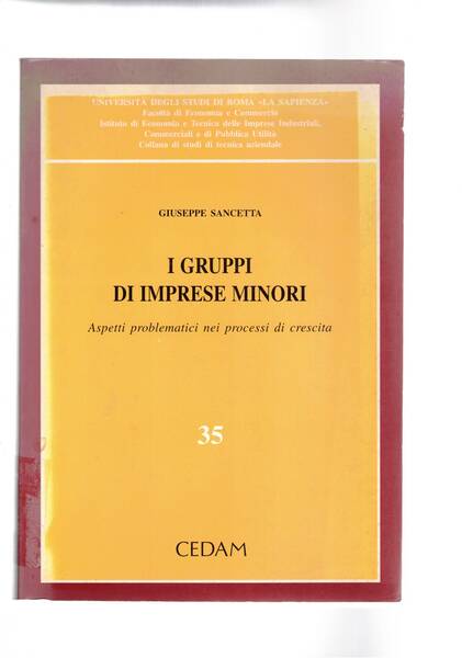 I gruppi di imprese minori. Aspetti problematici nei processi di …