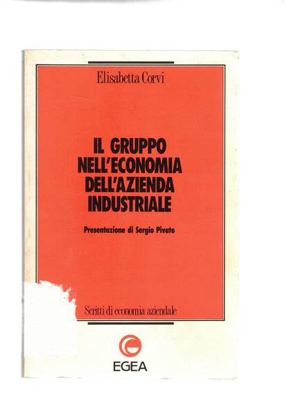 Il gruppo nell'economia dell'azienda industriale.