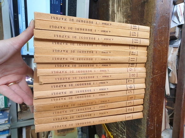 I Borboni di Napoli. Vol. I-XVI. Ristampa anastatica dell'edizione ottocentesca.