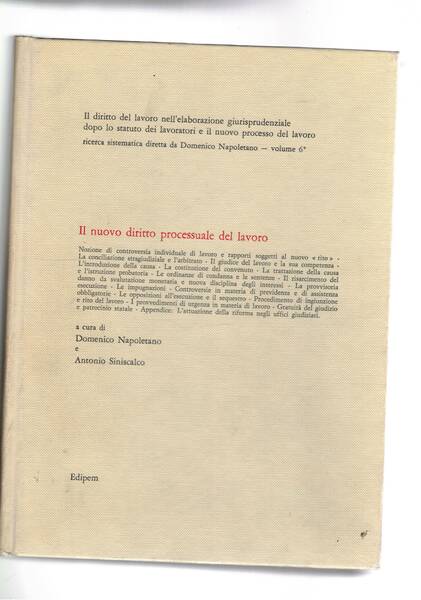 Il nuovo diritto processuale del lavoro.