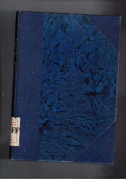 Nos Mosquées de Stamboul.