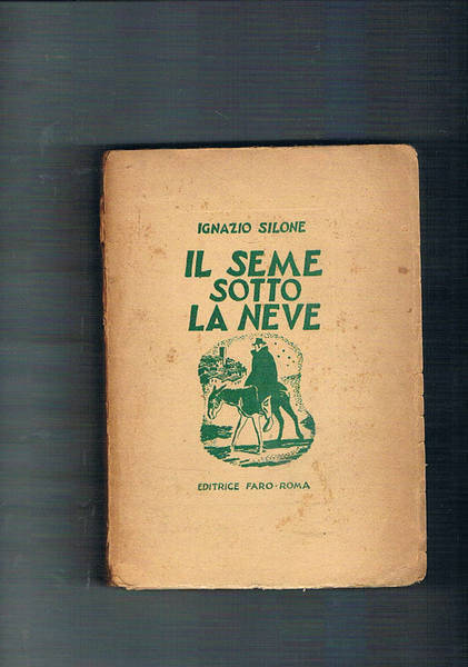 Il seme sotto la neve. Romanzo.