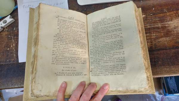 Leggi organiche giudiciarie della Repubblica Cisalpina.