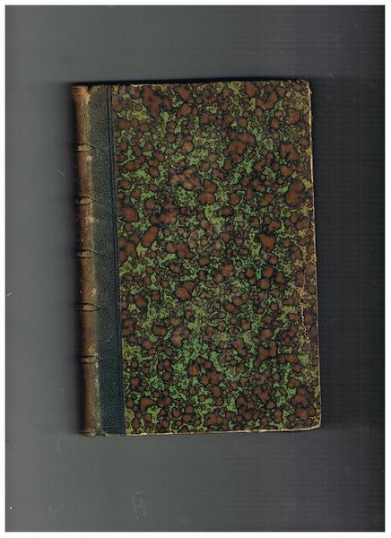 Fiorenza fior che sempre rinnovella. Quadri e figure di vita …