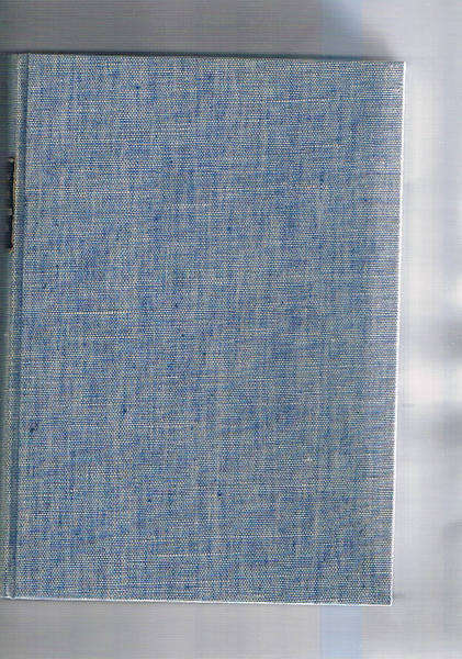 Sommario della storia d'Italia con guida bibliografica.