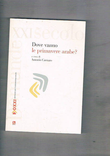 Dove vanno le primavere arabe?