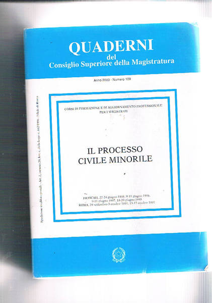 Il processo civile minorile. Corso di formazione e di aggiornamento …