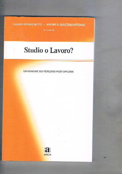 Studio o Lavoro? Un'indagine sui percorsi post-diploma.