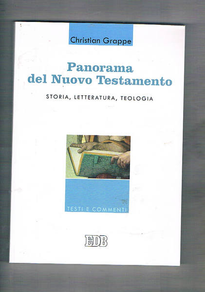 Panorama del Nuovo Testamento storia, letteratura, teologia.