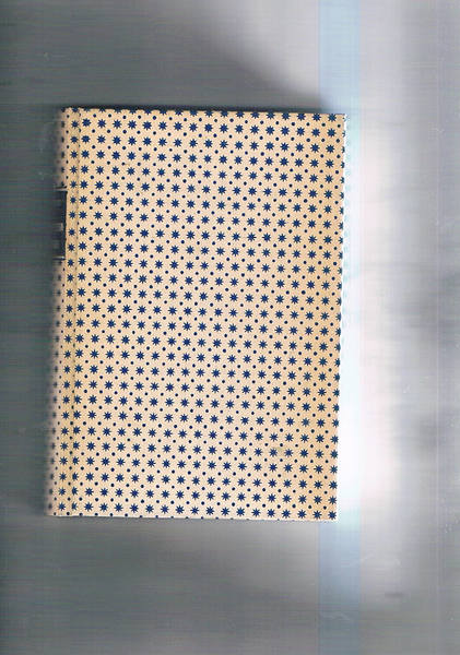 La principessa d'Erminge. Romanzo. Unica traduz. autorizzata di (Elena Vecchi).