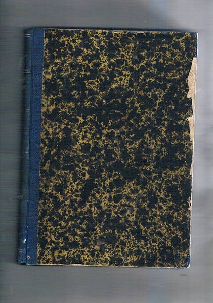 Il profeta del secolo XIV o il beato Tommaso Unzio …