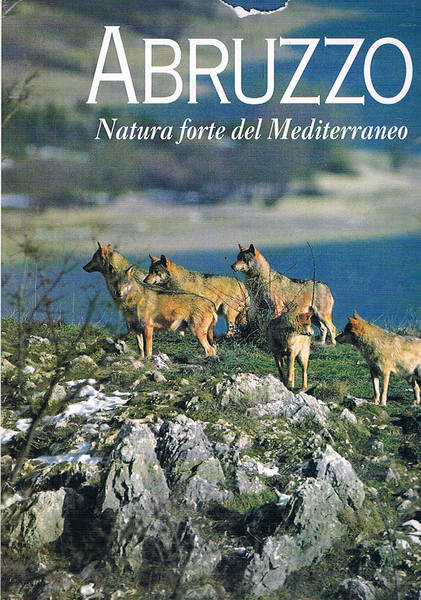 Abruzzo. Natura forte del Mediterraneo.