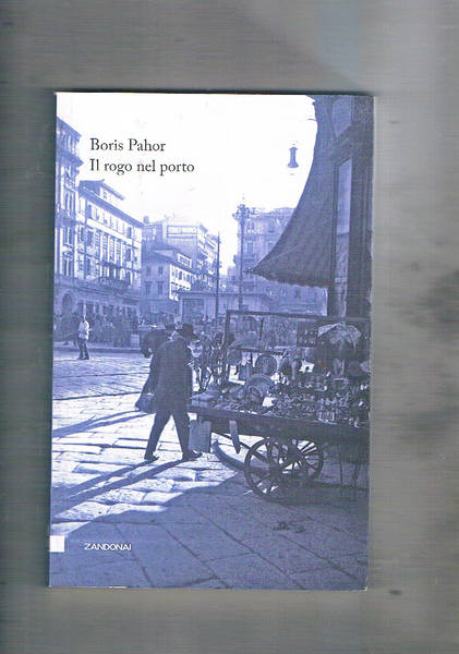Il rogo del porta. Racconti che hanno come sfondo Trieste.