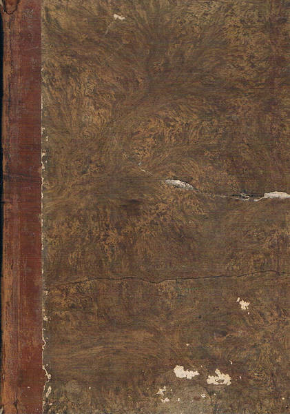 Bollettino delle leggi e degli atti ufficiali delle provincie venete …