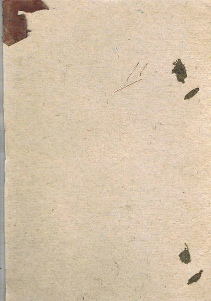 Bollettino delle leggi e degli atti del governo della Venezia …