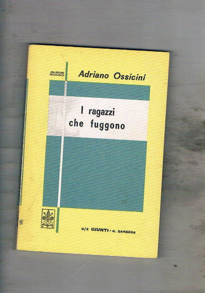 I ragazzi che fuggono.