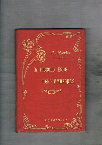 Il piccolo eroe dell'Amazonas con 6 ill. a colori di …