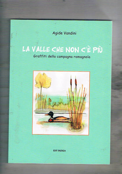 La valle che non c'è più. Graffiti della campagna romagnola.