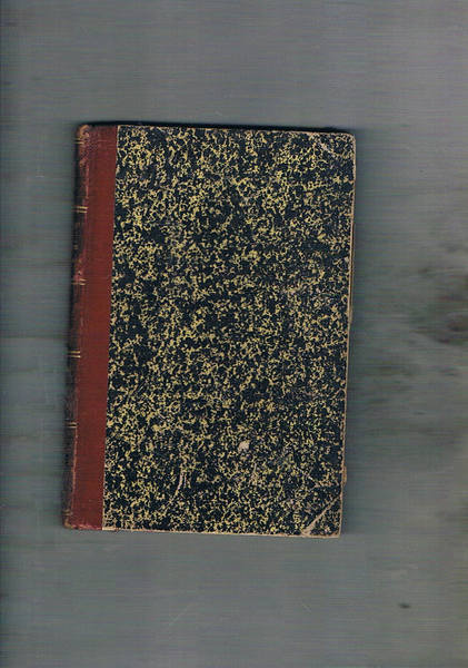 Salite vertiginose. Romanzo.