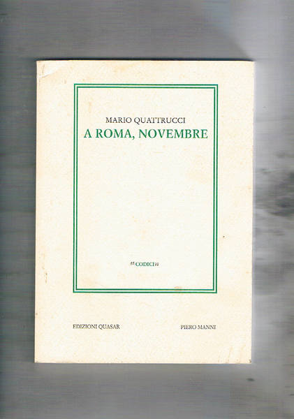 A Roma, novembre. Romanzo.Un gialle e una riflessione sulla nostra …