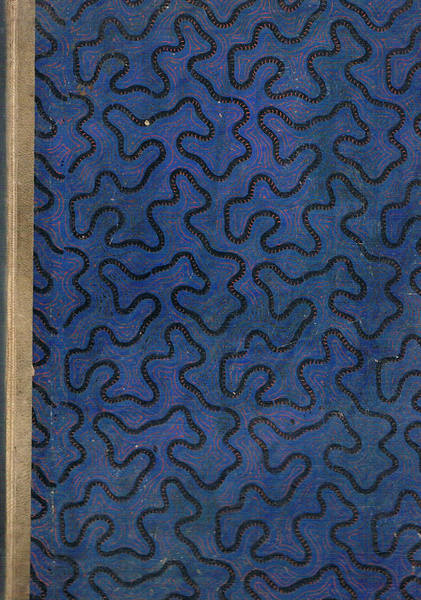 Album della esposizone universale di Filadelfia. Illustrato da 108 incisioni.