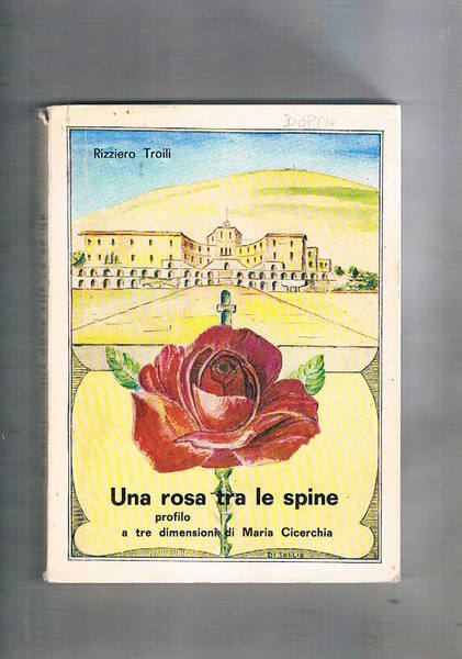 Una rosa tra le spine, profilo di Maria Cicerchia visto …
