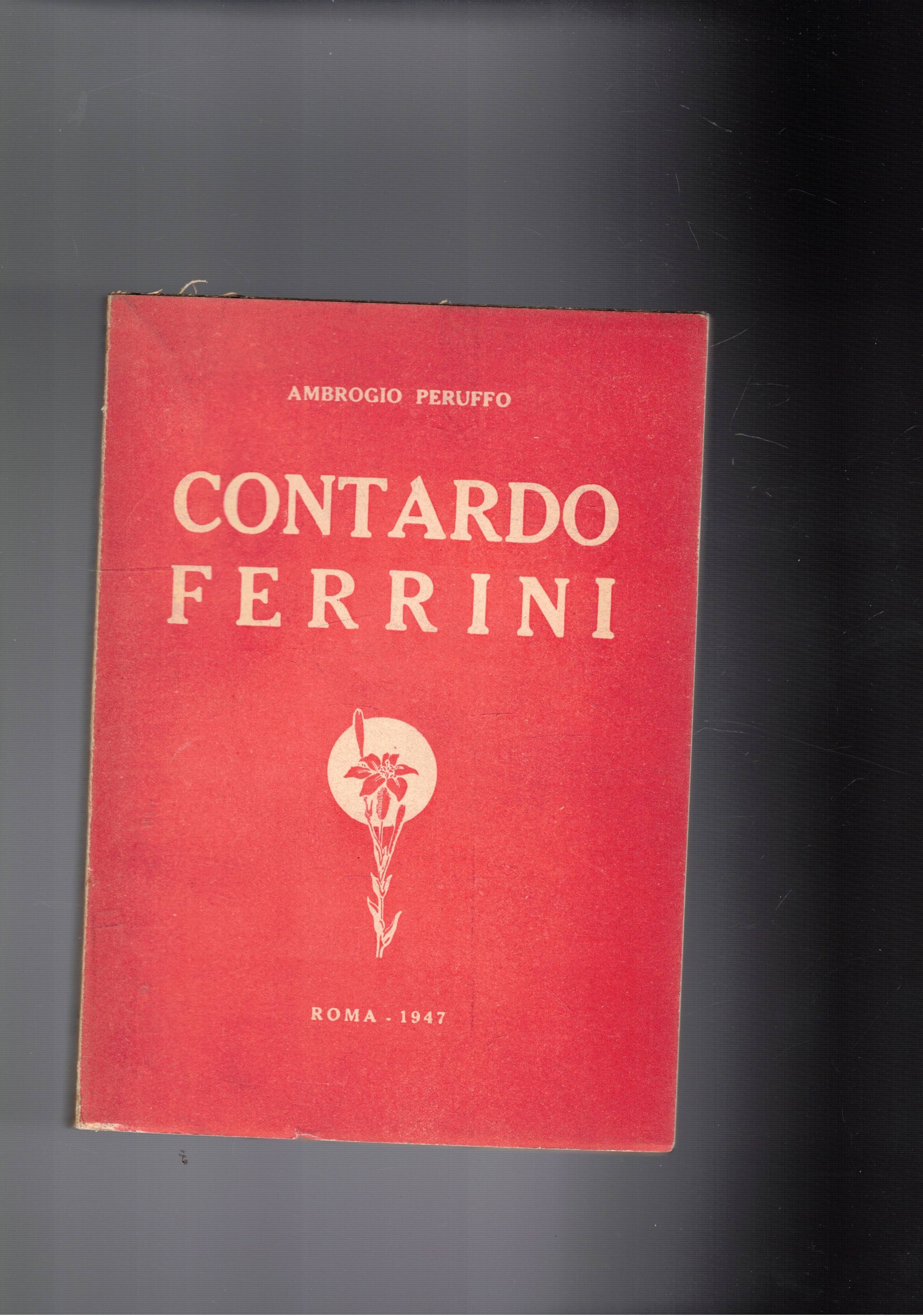 Contardo Ferrini. Professore d'università e terziario francescano.