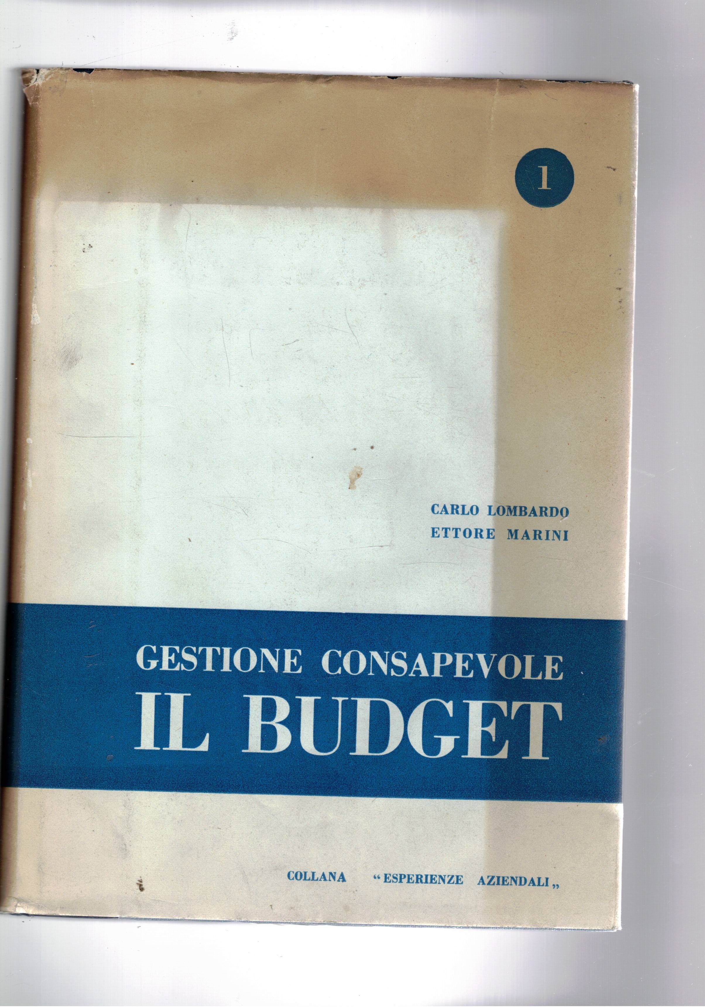 Gestione consapevole il Budget.