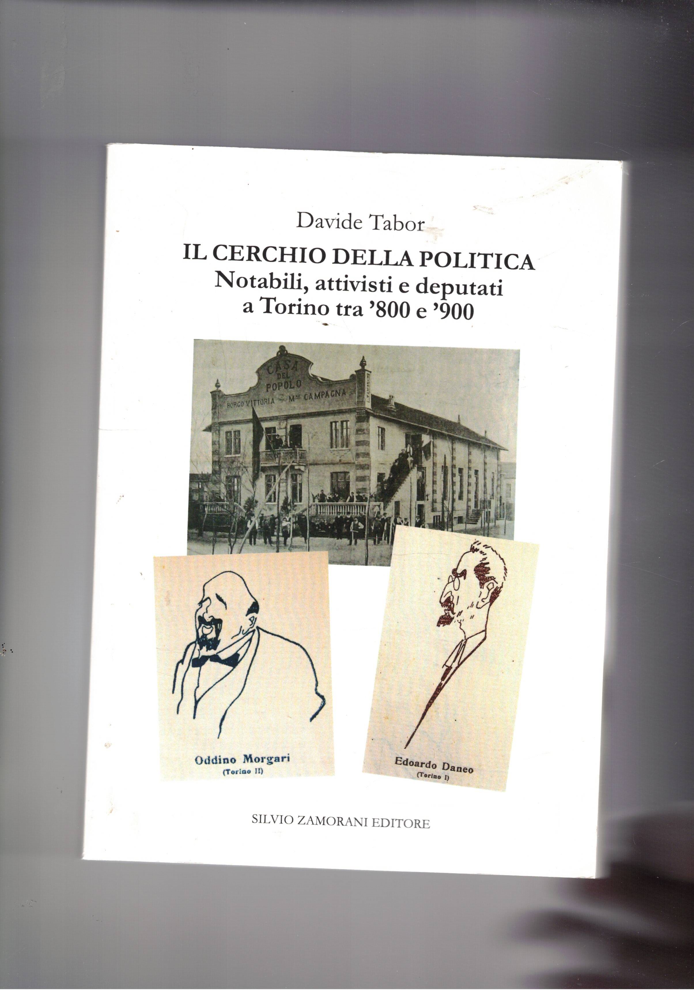 Il cerchia della politica. Notabili, attivisti e deputati a Torino …