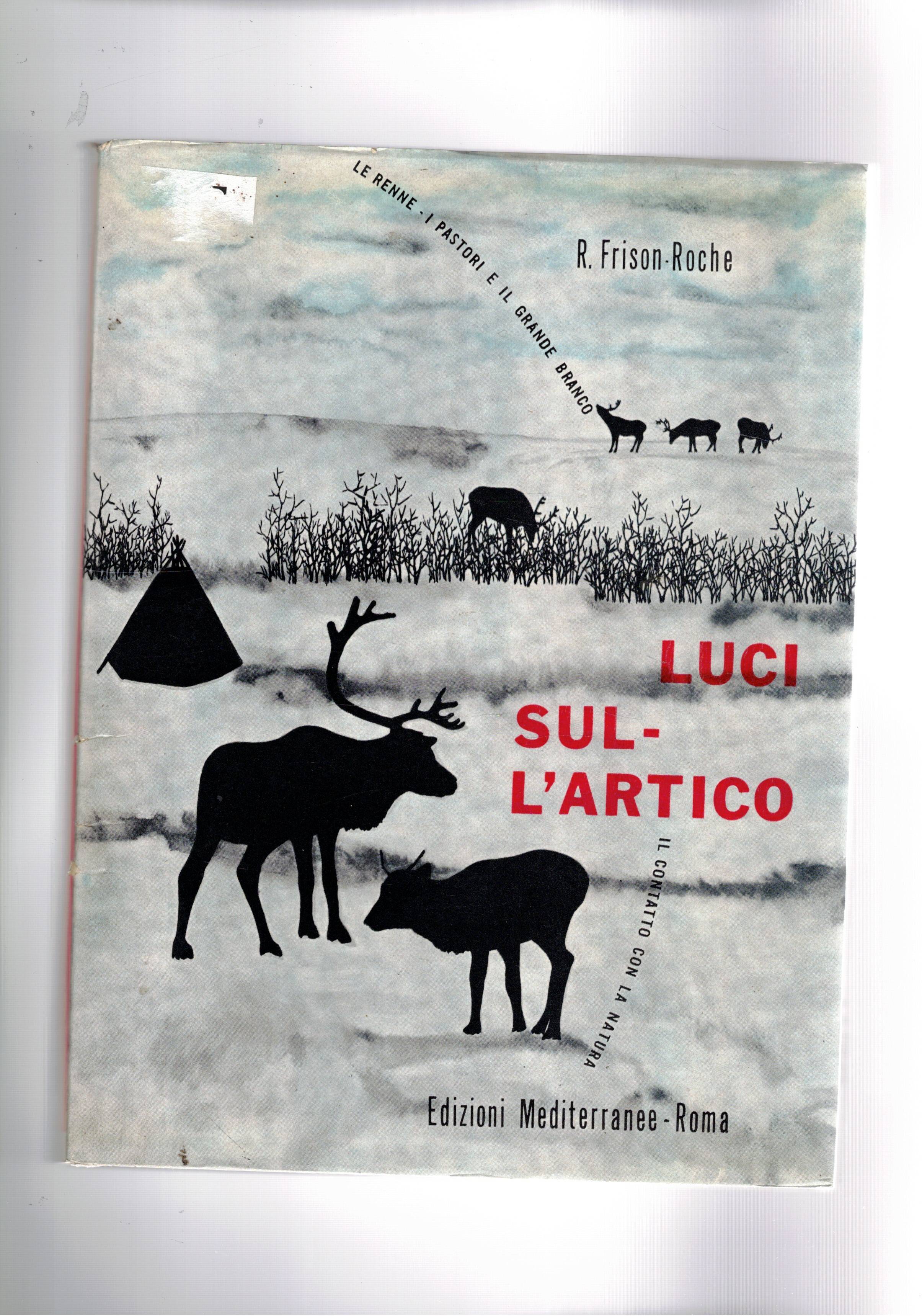 Luci sull'artico.