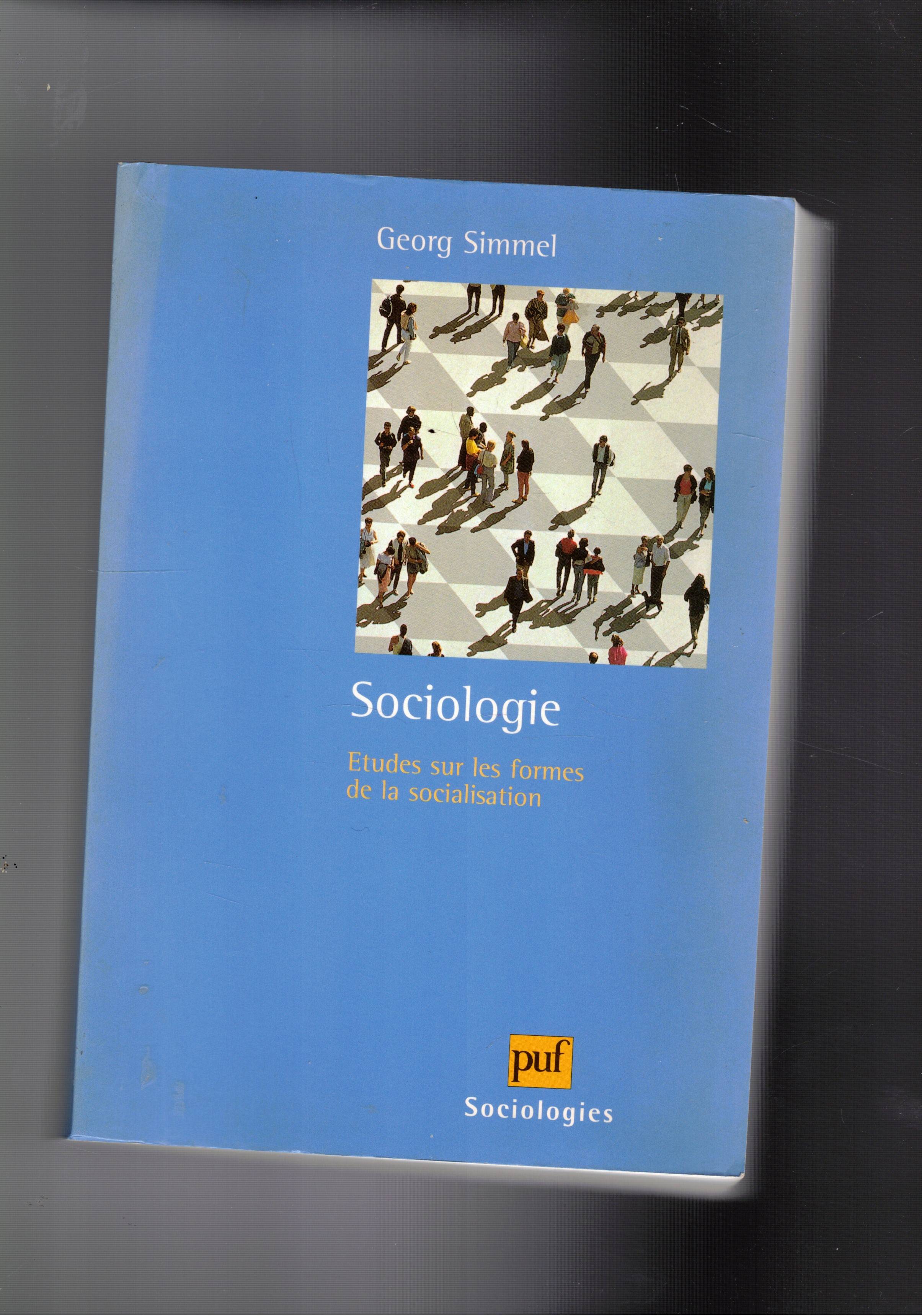 Sociologie. Etudes sur les formes de la socialisation.