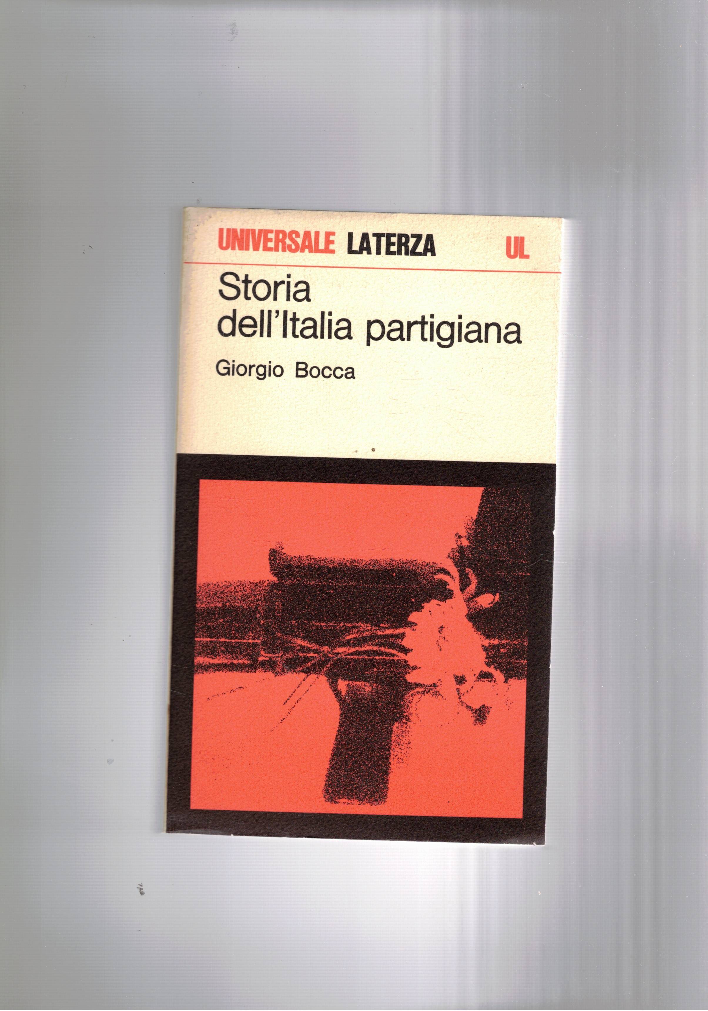 Storia dell'Italia partigiana: settembre 1943 - maggio 1945.