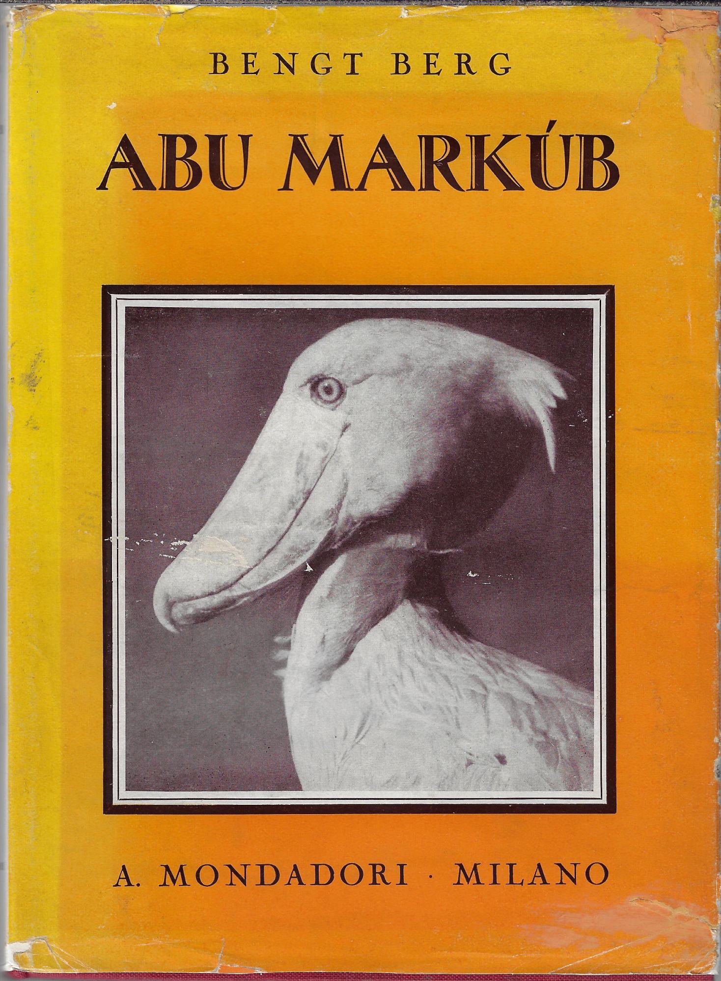 Abu Markub : con la macchina da presa tra elefanti …