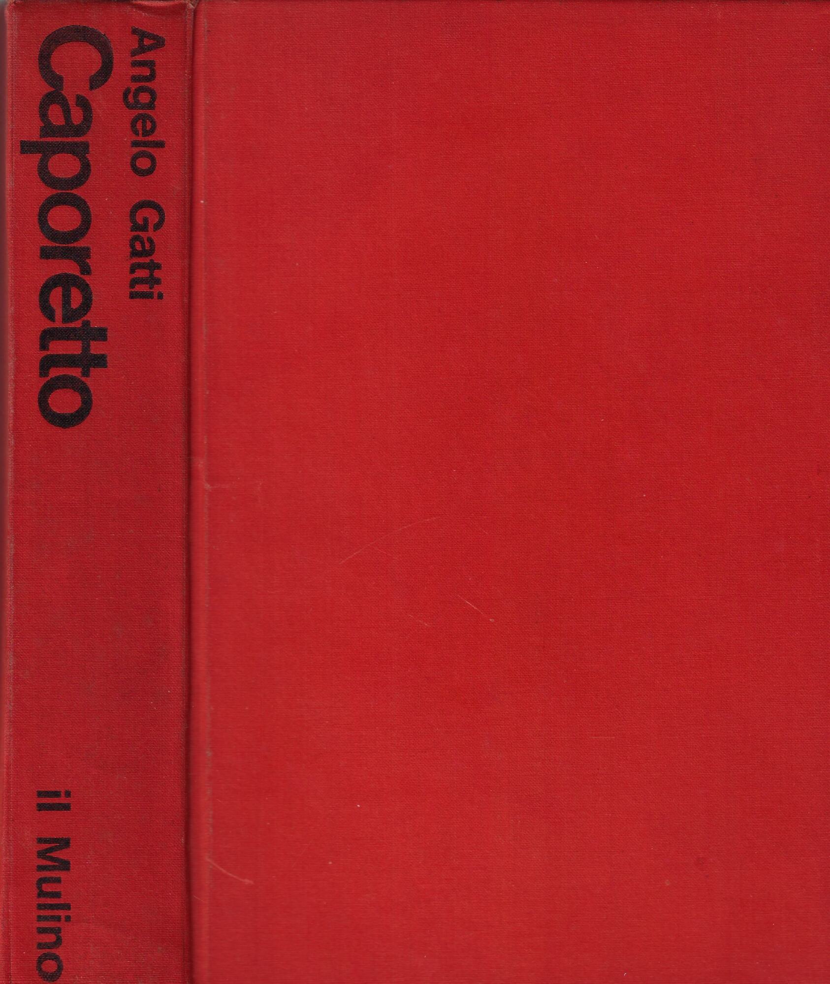 Caporetto : dal diario di guerra inedito, maggio-dicembre 1917