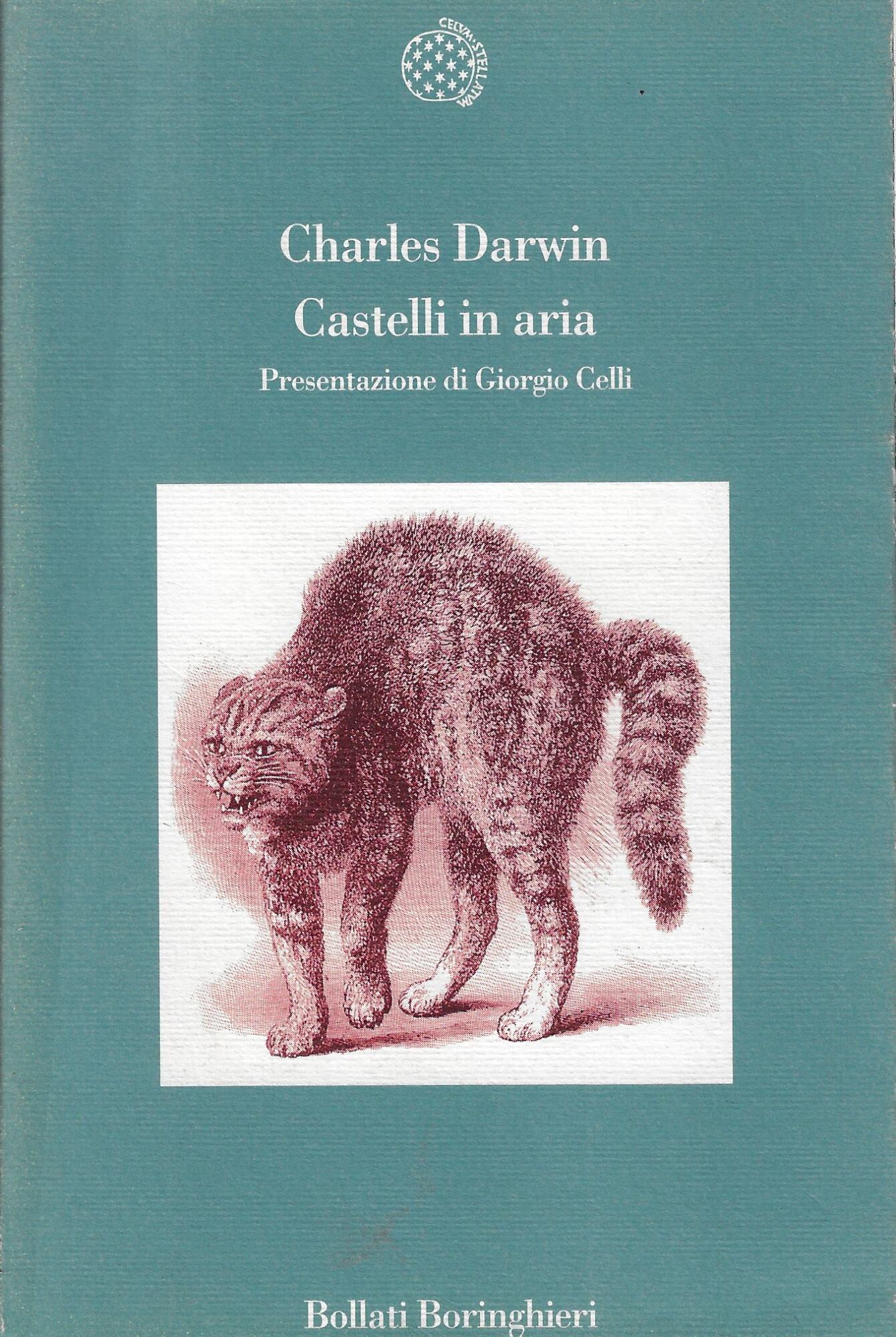 Castelli in aria. Taccuini M e N Profilo di un …