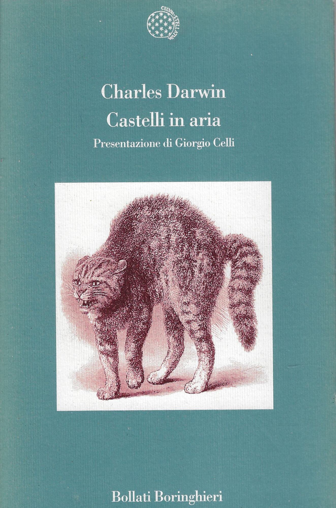 Castelli in aria. Taccuini M. N. Profilo di un bambino