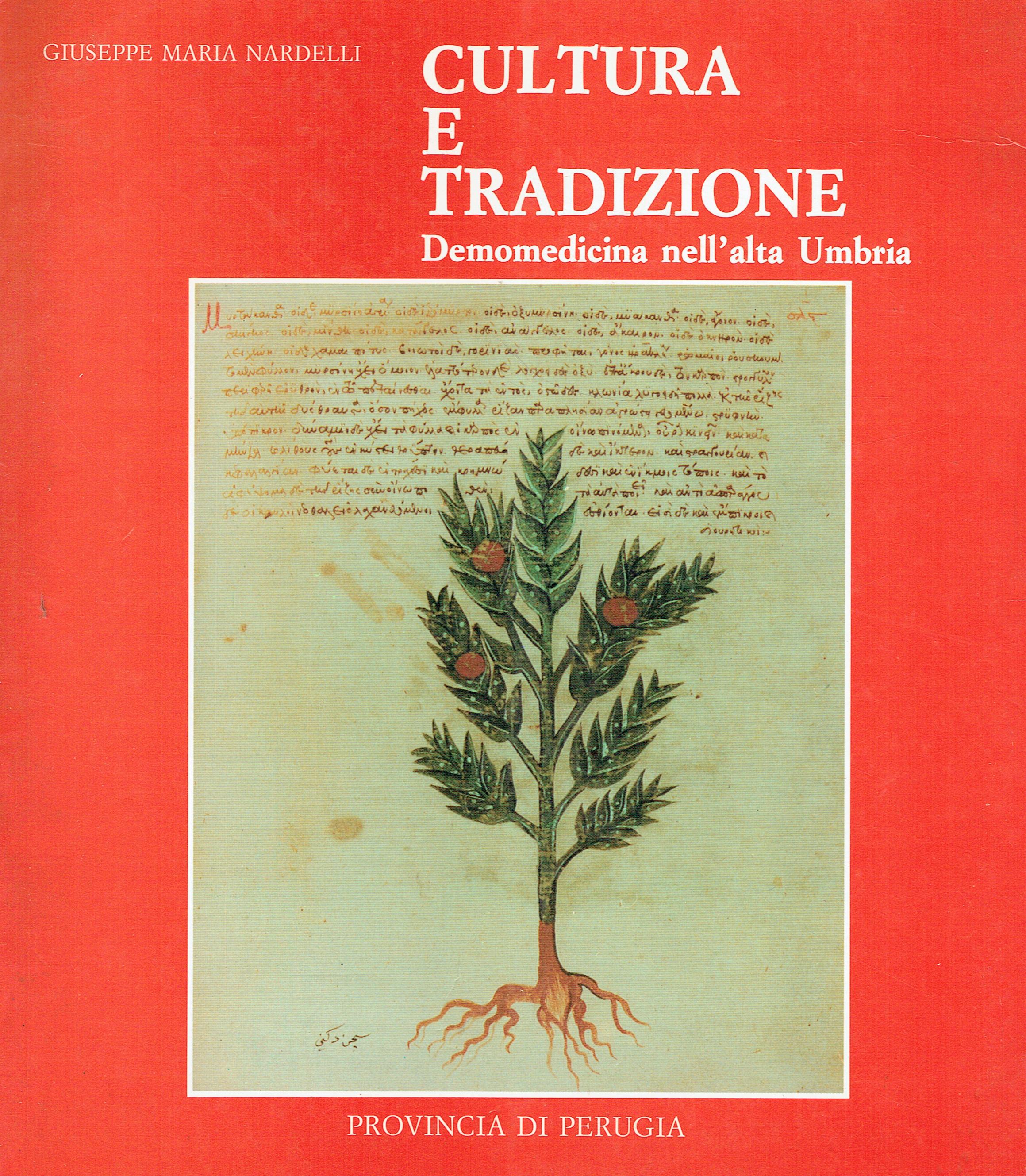 Cultura e tradizione : demomedicina nell'alta Umbria