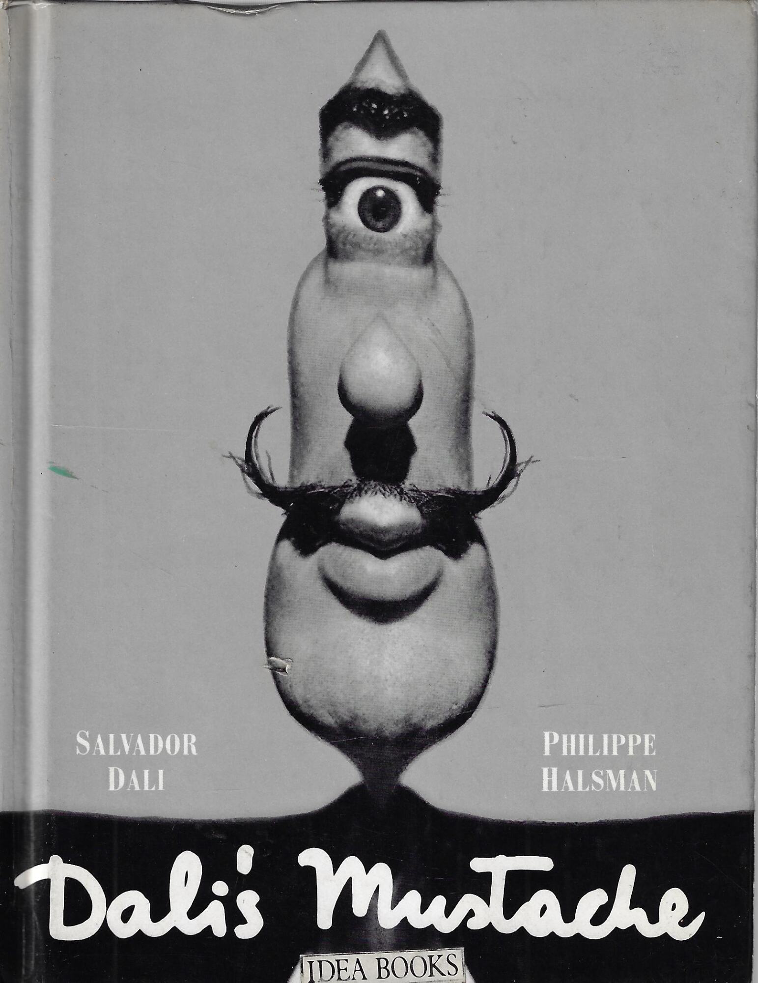 Dali's mustache: Une interview photographique
