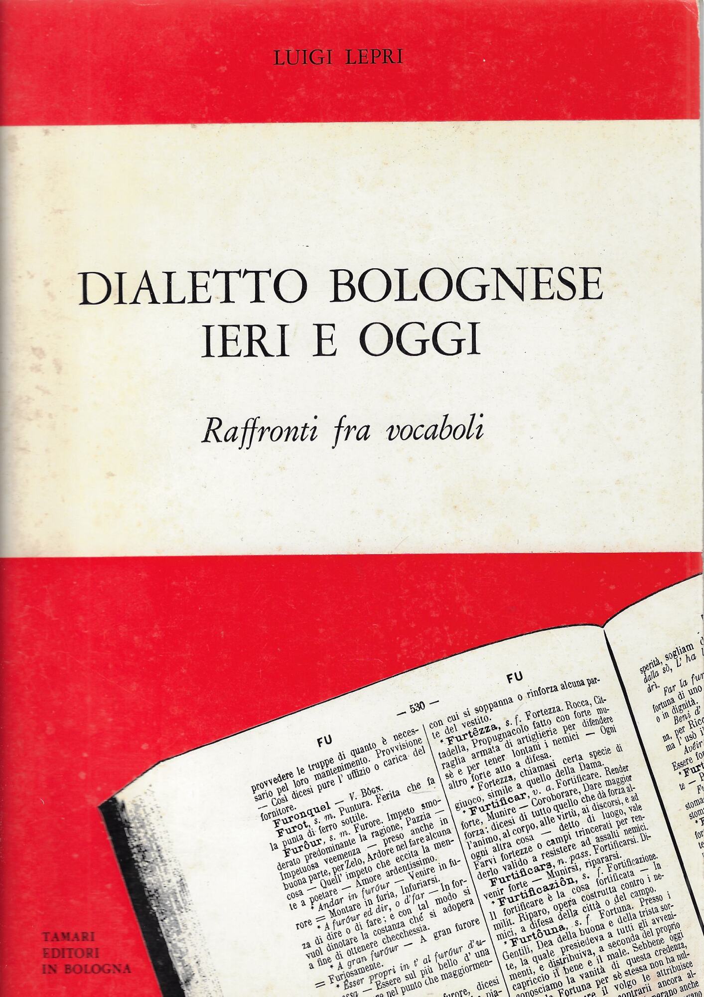 Dialetto bolognese ieri e oggi. Raffronti fra vocaboli
