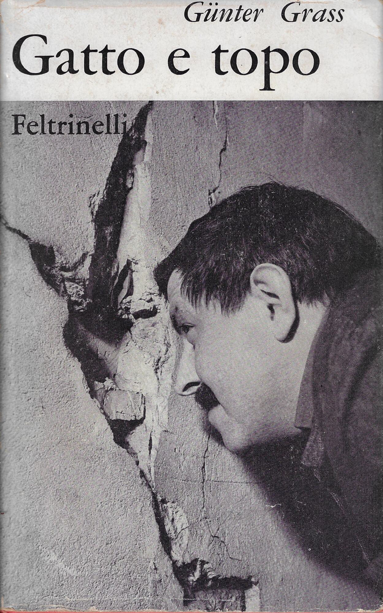 Gatto e topo : novella