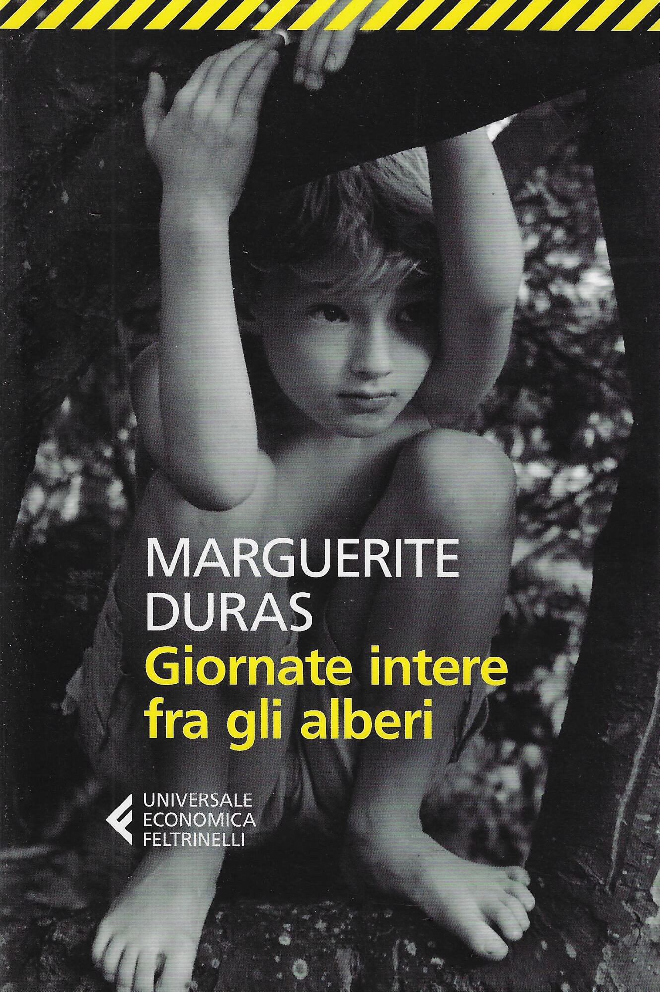 Giornate intere fra gli alberi