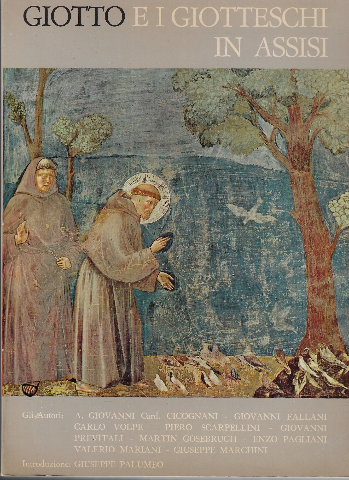Giotto e i giotteschi in Assisi