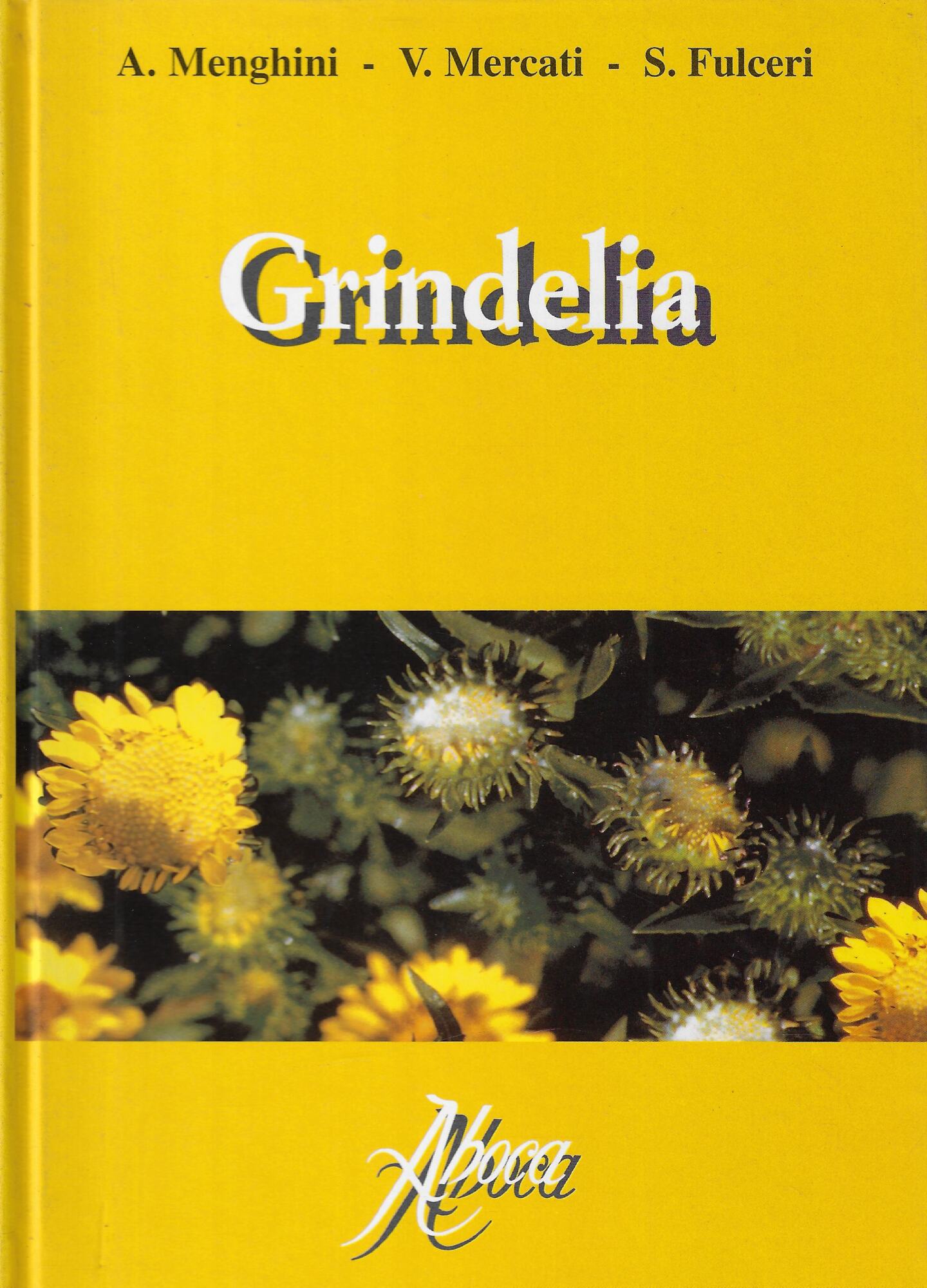 Grindelia
