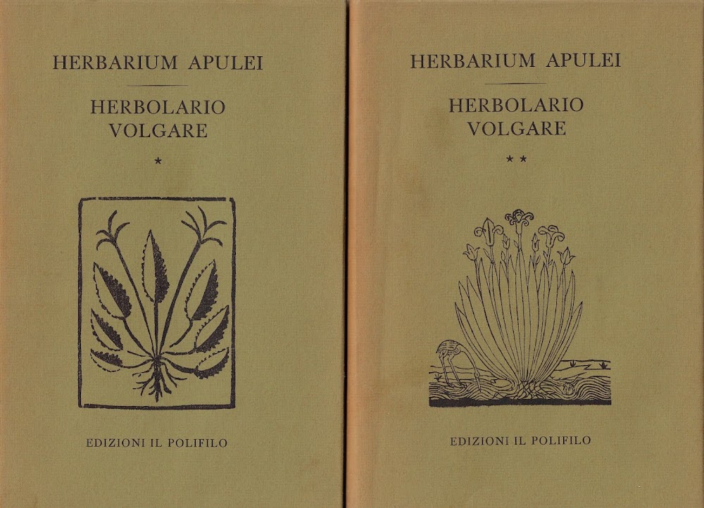 Herbarium Apulei, 1481 . Herbolario volgare, 1522