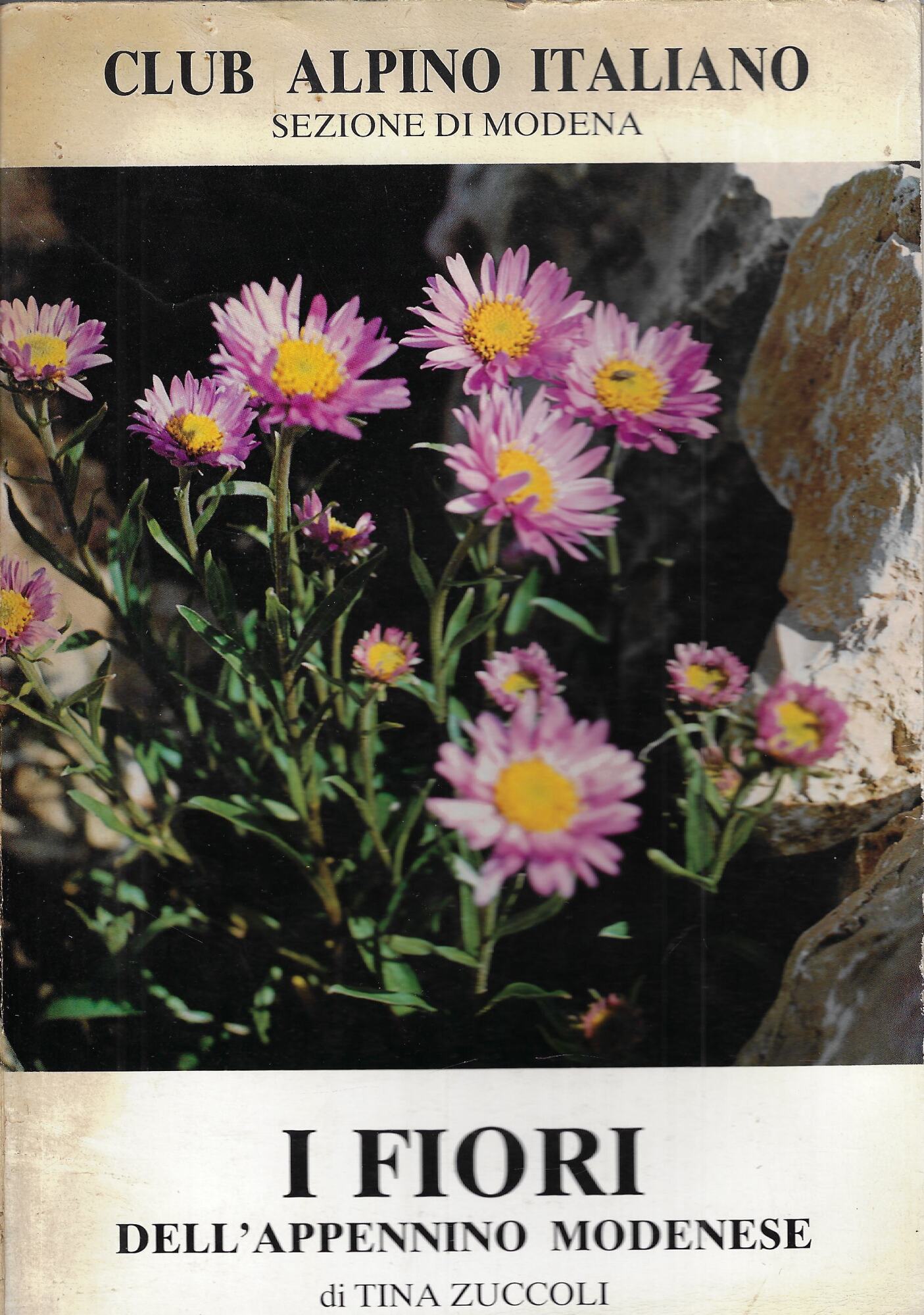 I fiori dell'Appennino modenese