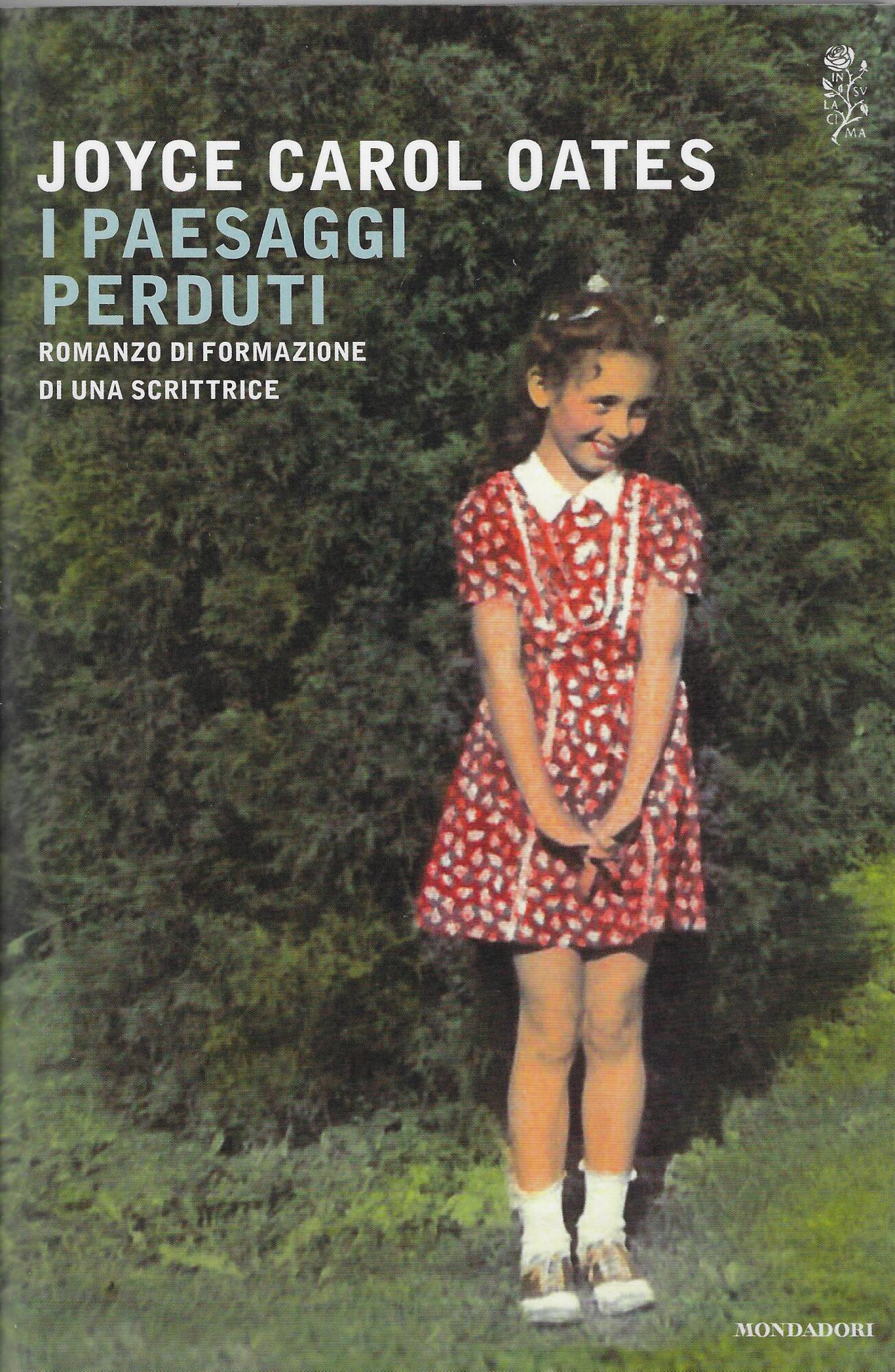 I paesaggi perduti. Romanzo di formazione di una scrittrice