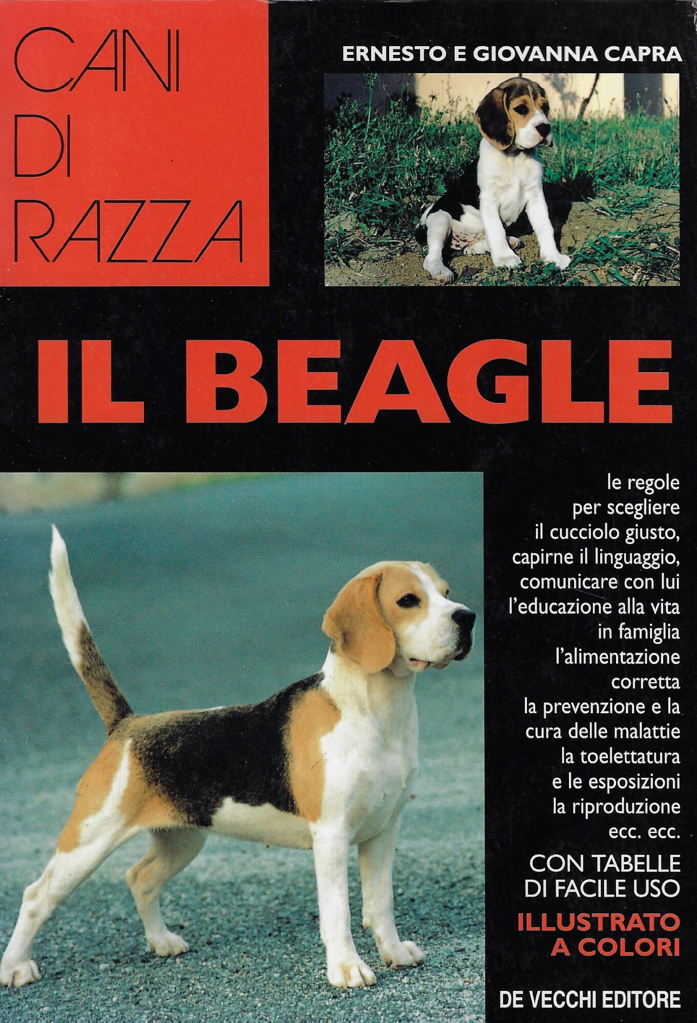 Il Beagle