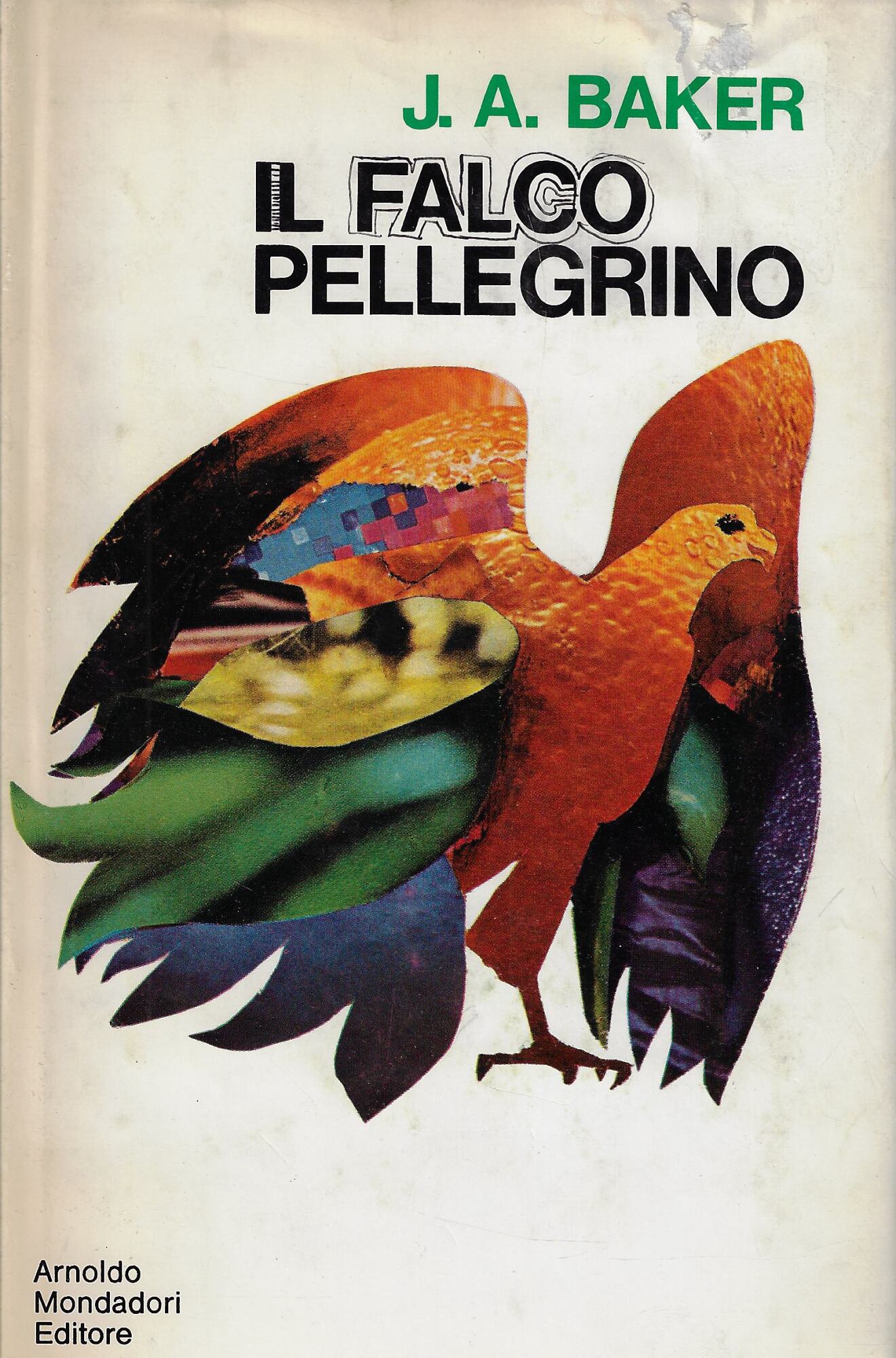 Il falco pellegrino